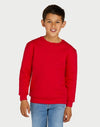 SG Crew Neck collegepaita
